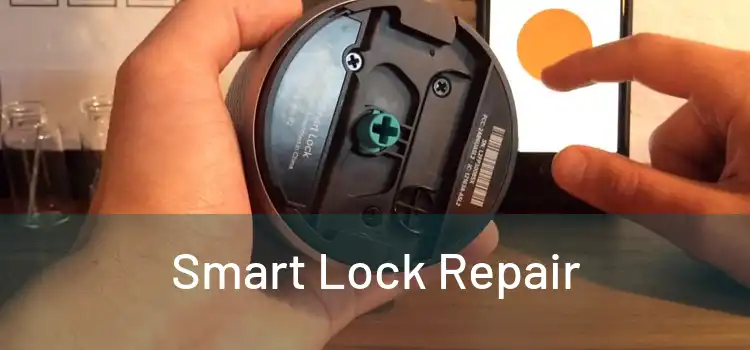 Smart Lock Repair